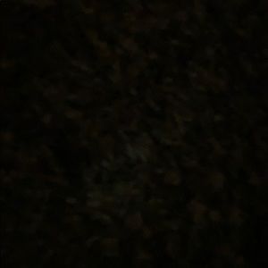 Meet your Posher, Gregory